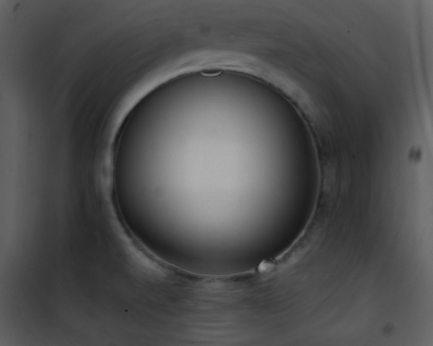 X0000102001520200807181152