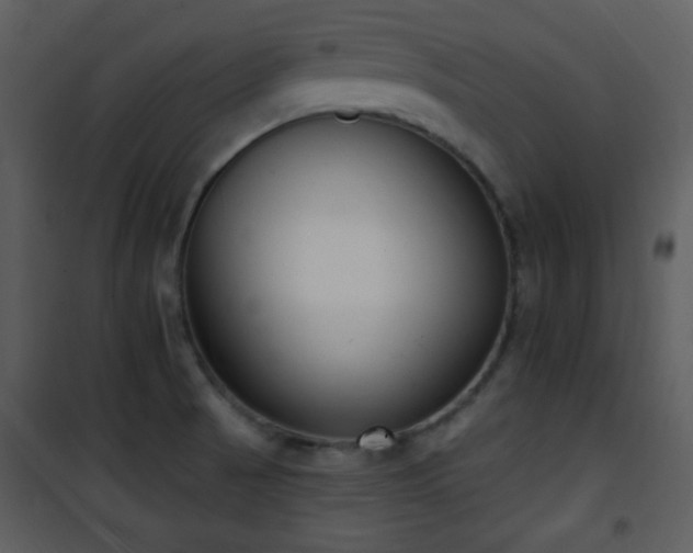 X0000102001521200807181152