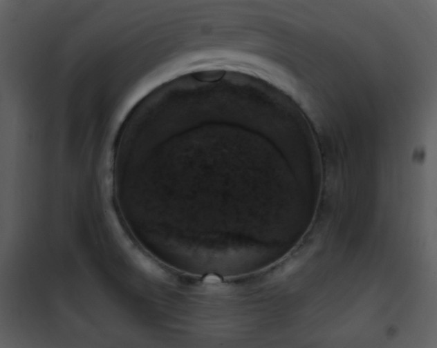 X0000102001522200807181152