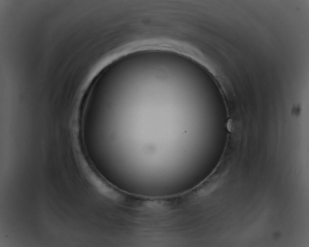 X0000102001523200807181152