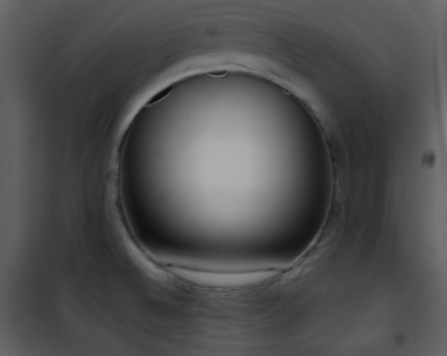 X0000102001524200807181152