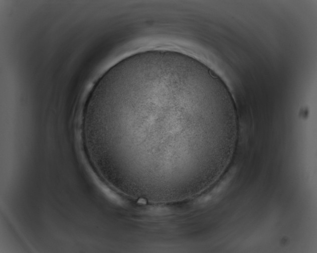 X0000102001525200807181152