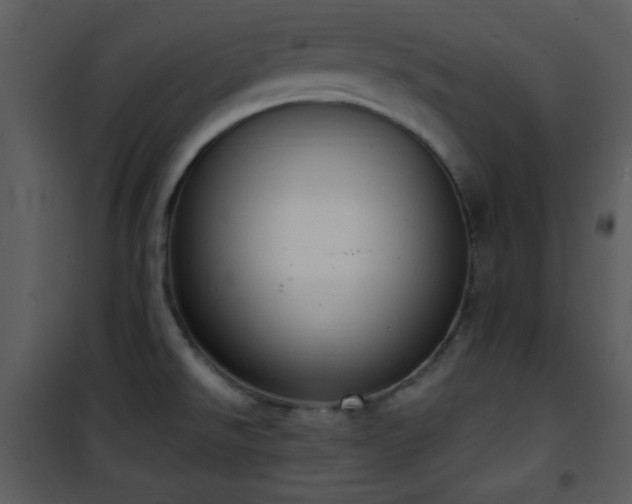 X0000102001526200807181152