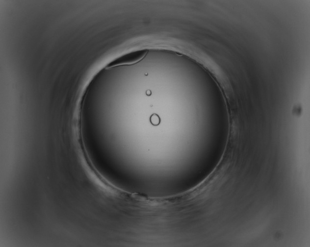 X0000102001528200807181152