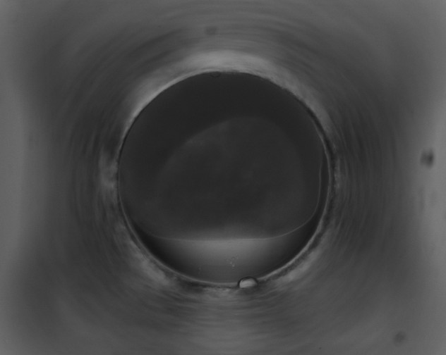 X0000102001529200807181153