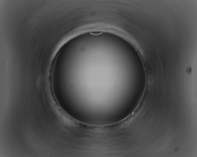 X0000102001530200807181153