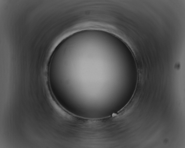 X0000102001531200807181153