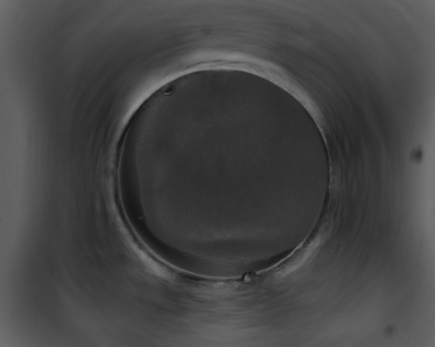 X0000102001533200807181153