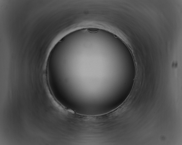 X0000102001536200807181153