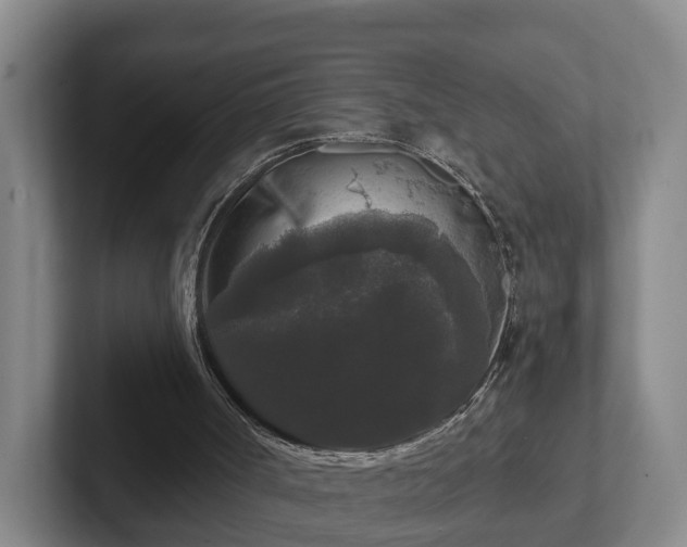 X0000102000002200807251255