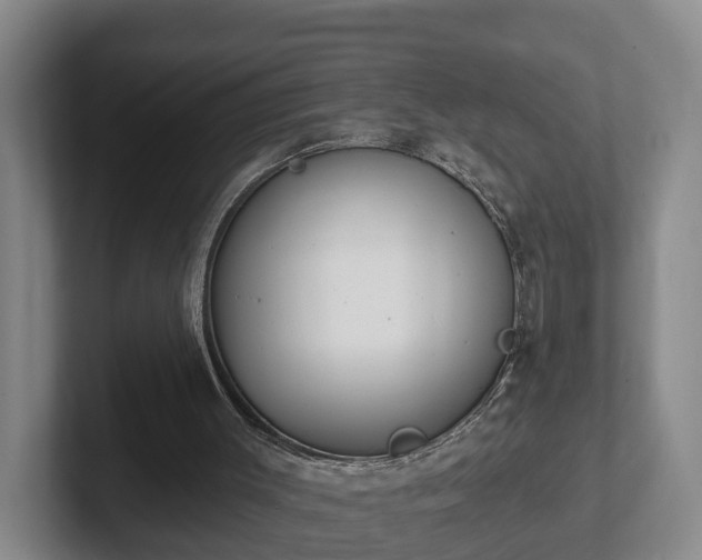 X0000102000003200807251255