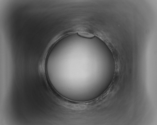 X0000102000004200807251255