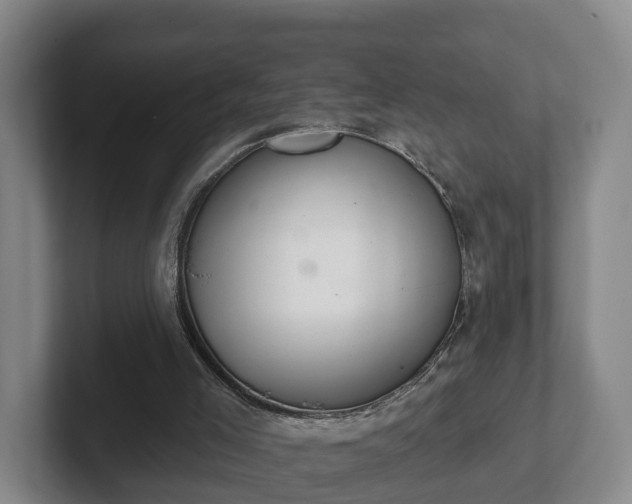 X0000102000005200807251255