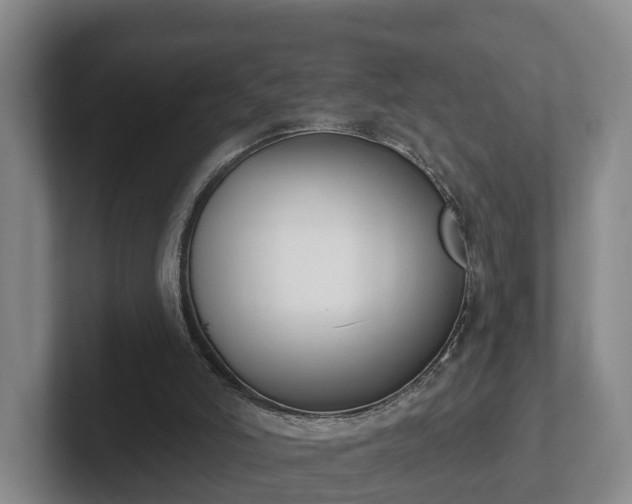 X0000102000006200807251255