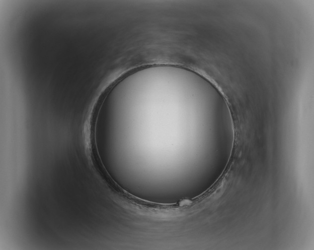 X0000102000008200807251255