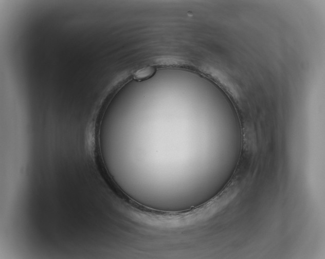 X0000102000015200807251255