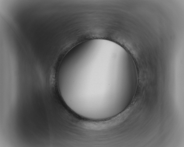 X0000102000017200807251255