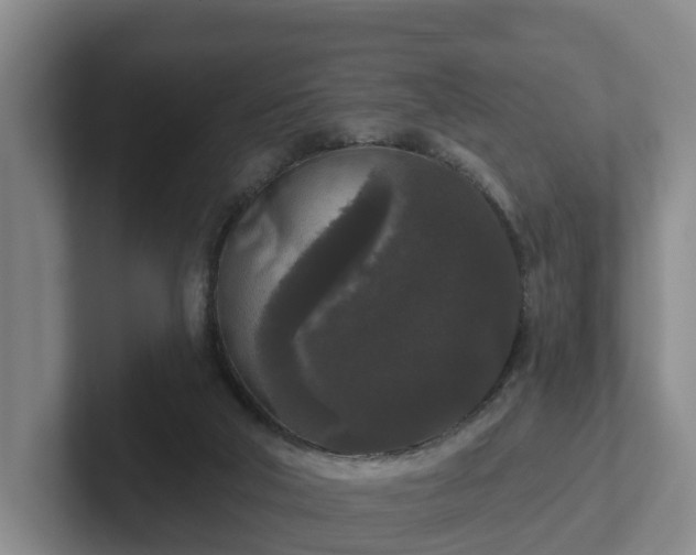 X0000102000018200807251255