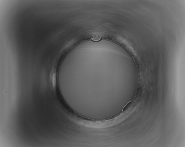 X0000102000019200807251255