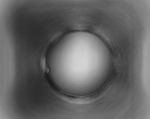 X0000102000020200807251255