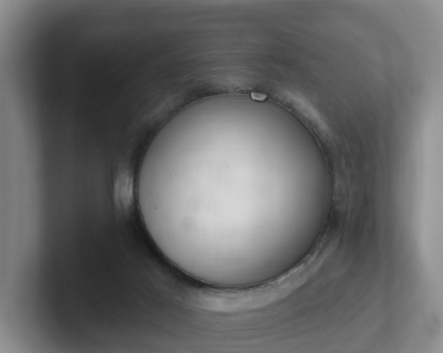 X0000102000021200807251255