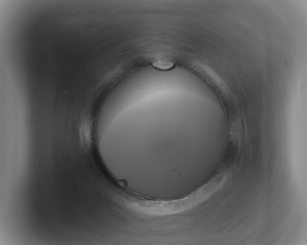 X0000102000023200807251255