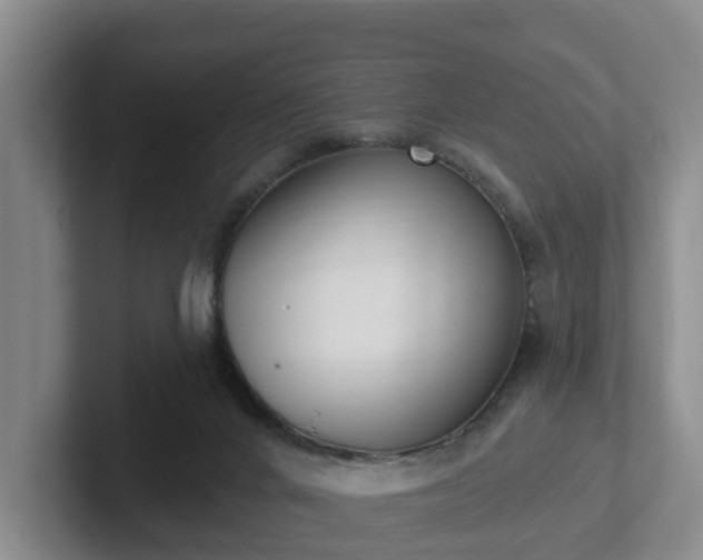 X0000102000024200807251255