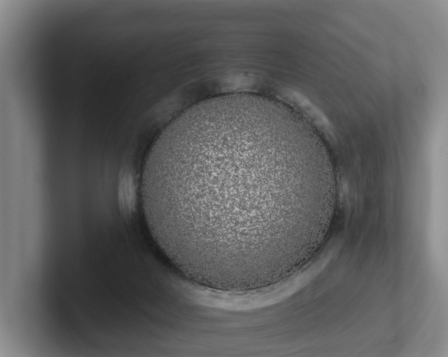 X0000102000026200807251255