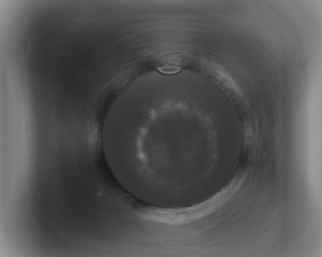 X0000102000029200807251255