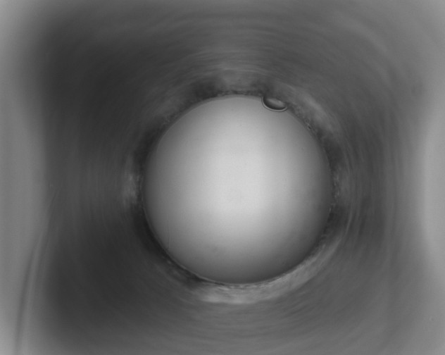 X0000102000033200807251255