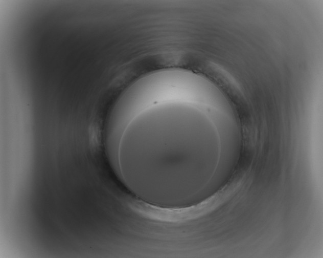 X0000102000035200807251255