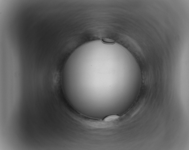 X0000102000036200807251255