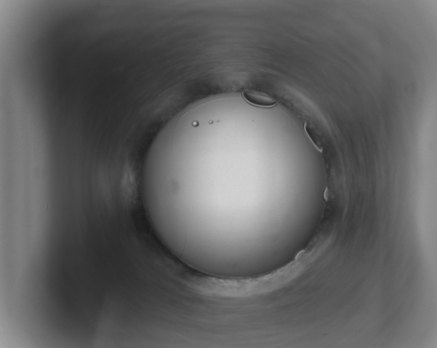 X0000102000037200807251255