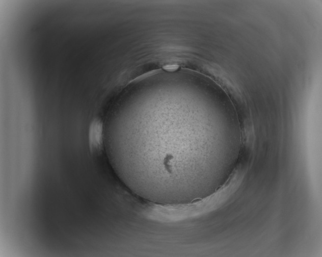 X0000102000041200807251255