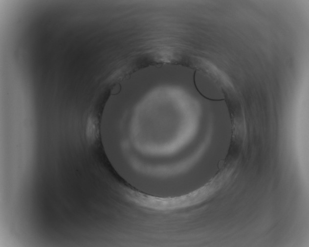 X0000102000043200807251255