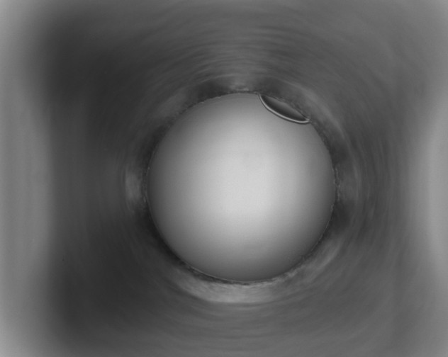 X0000102000044200807251255