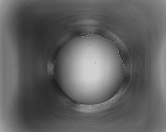 X0000102000045200807251255