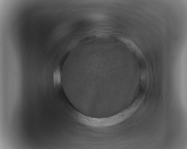 X0000102000046200807251255