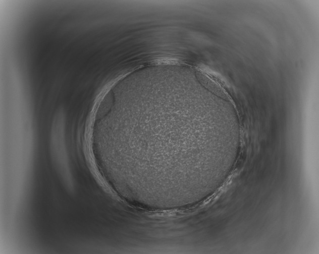 X0000102000049200807251254