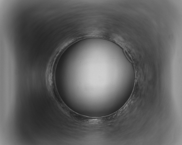 X0000102000050200807251254