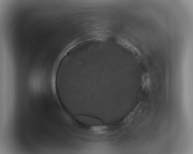 X0000102000051200807251254