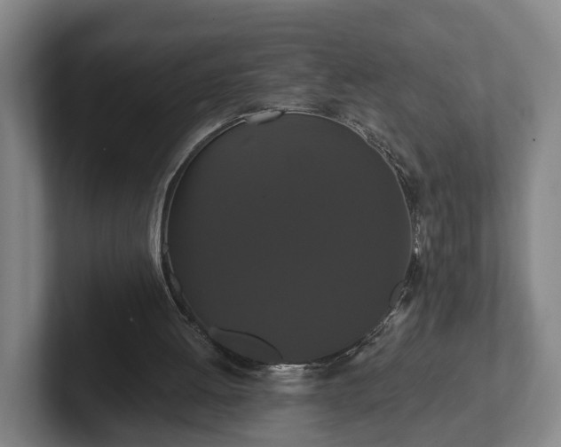 X0000102000052200807251254