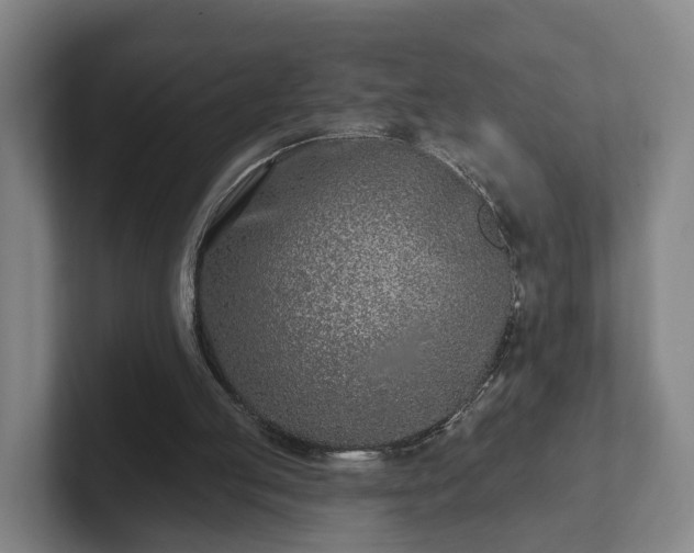 X0000102000053200807251254