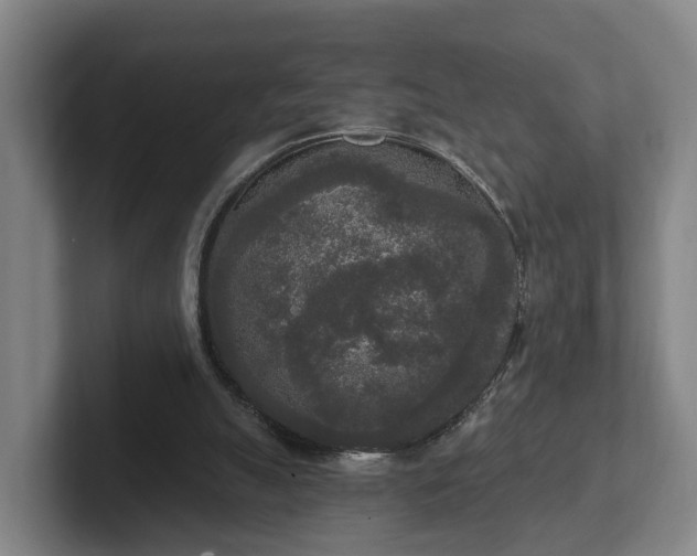 X0000102000055200807251254