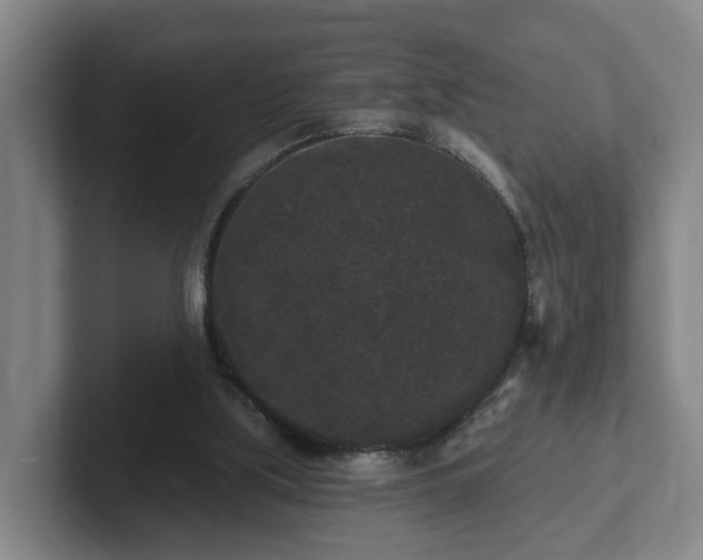 X0000102000059200807251254