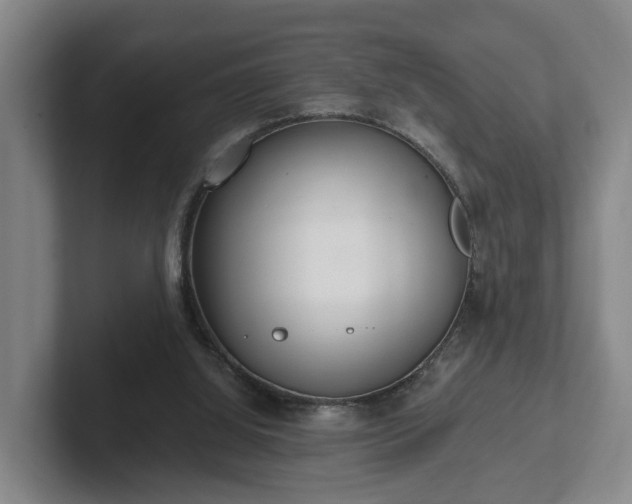 X0000102000060200807251254