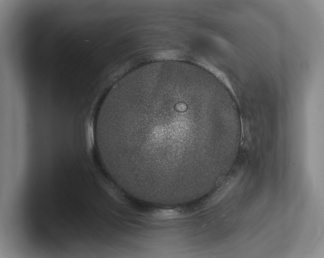 X0000102000061200807251254