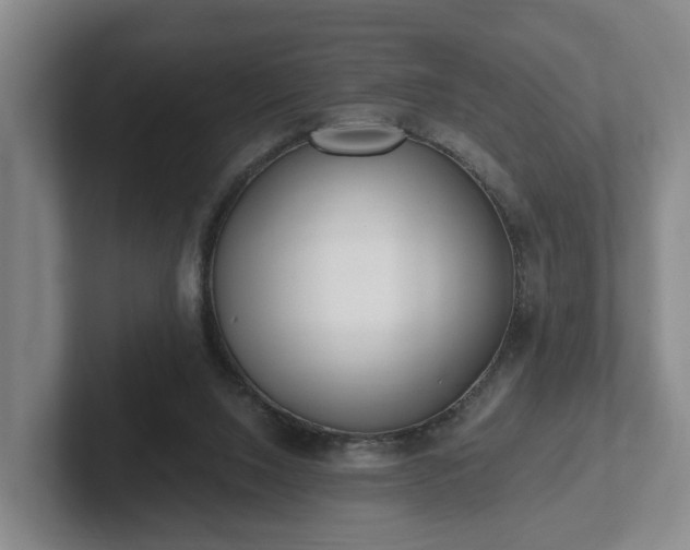 X0000102000064200807251254