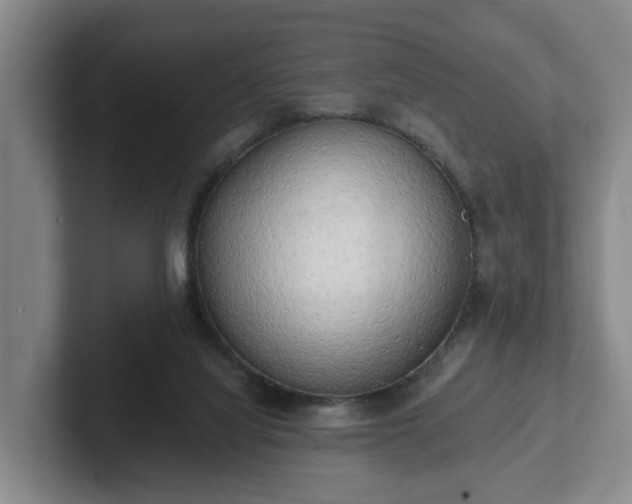 X0000102000068200807251254