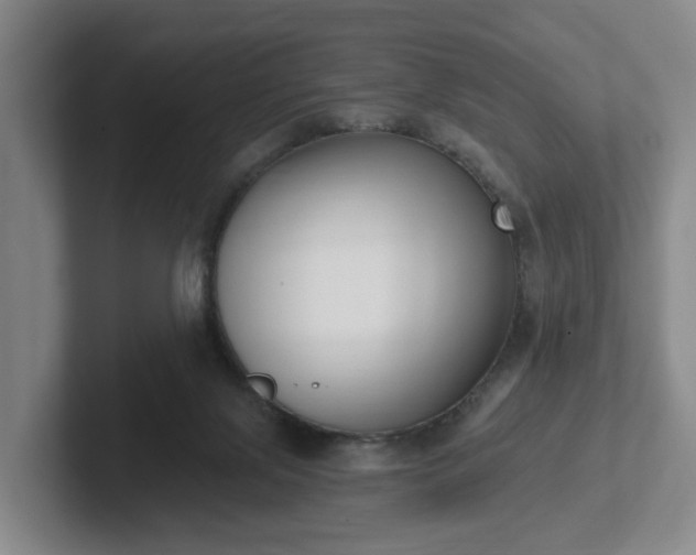 X0000102000071200807251254